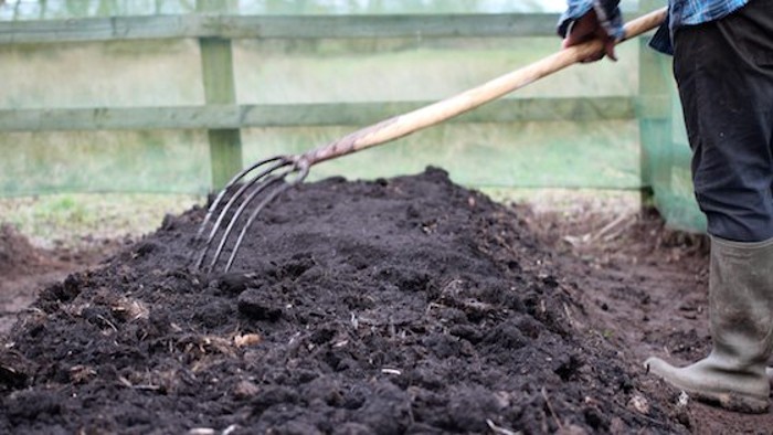 Mulch Layer