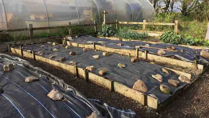 Mypex in vegetable garden