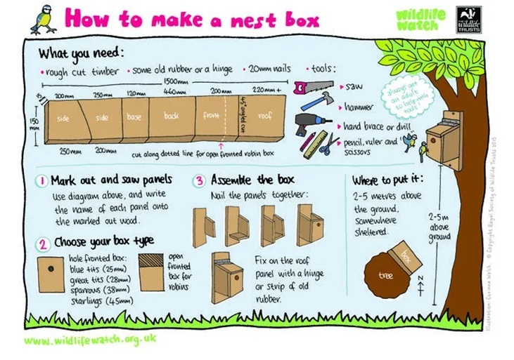 How to make a nest box - illustration by Wildlife World