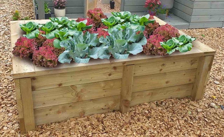 Castleton raised bed with finishing top
