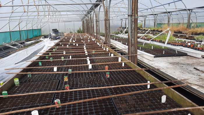 Operation Germination in the Quickcrop tunnels