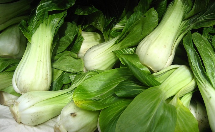 Pak Choi or 'Bok Choy'