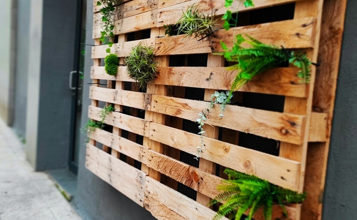 Using a pallet as a planter