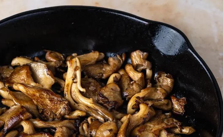 Pan fried fresh oyster mushrooms 