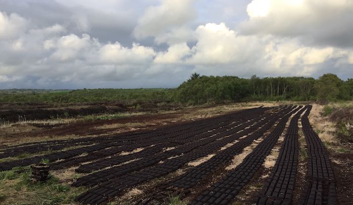 Harvesting peat on bog