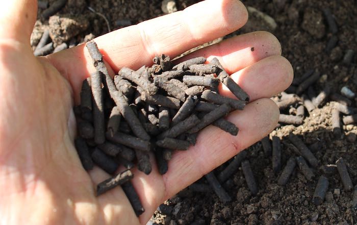 Pellet feed for the garden