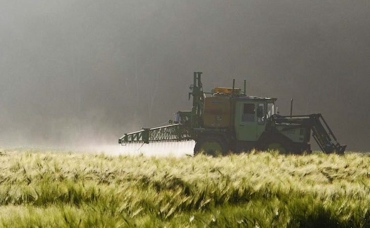 tractor spraying pesticides on wheat crop