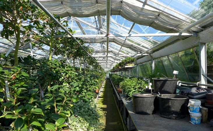a large greenhouse a large greenhouse