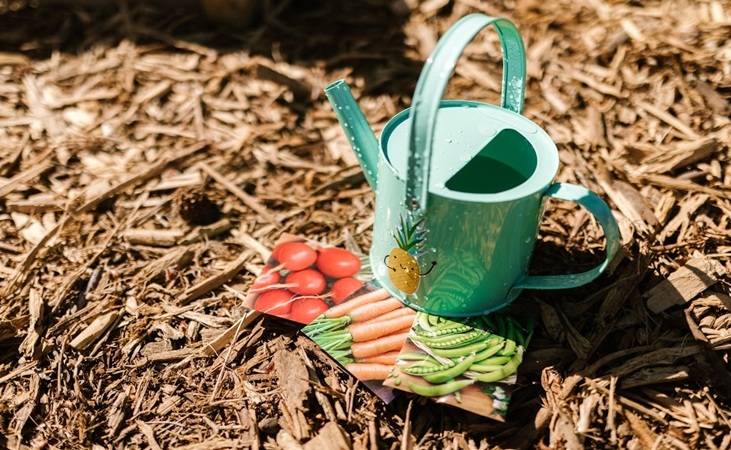 Seed packets placed on a mulched bed with a small watering can