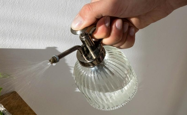 using a mister indoors 