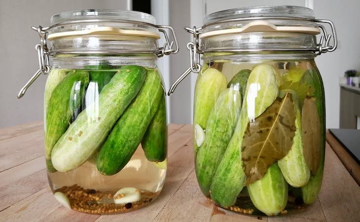Home made pickled cucumbers in clip top jars