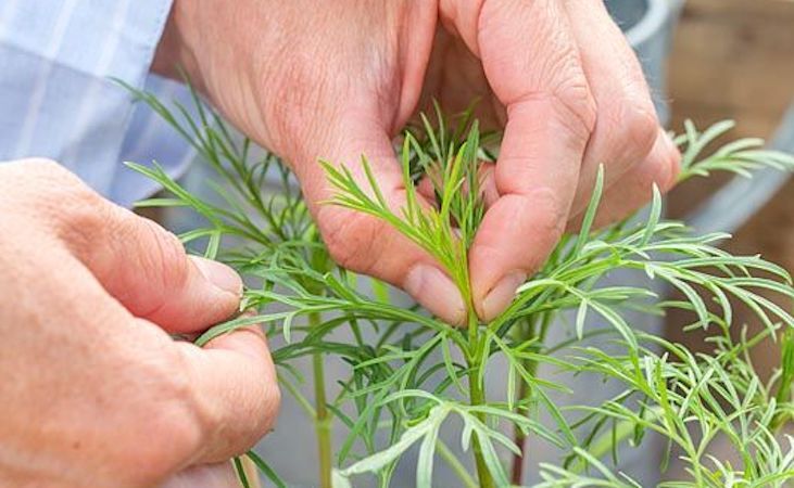 Pinching out cosmos