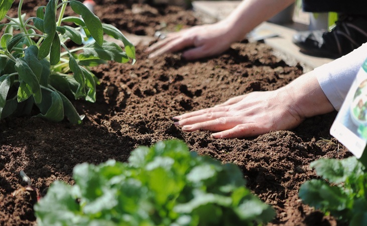 worshipping the soil worshipping the soil