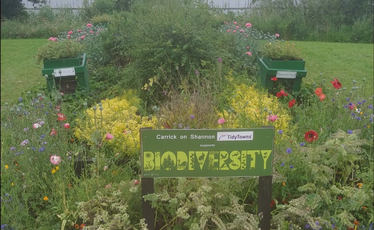 A public biodiversity patch