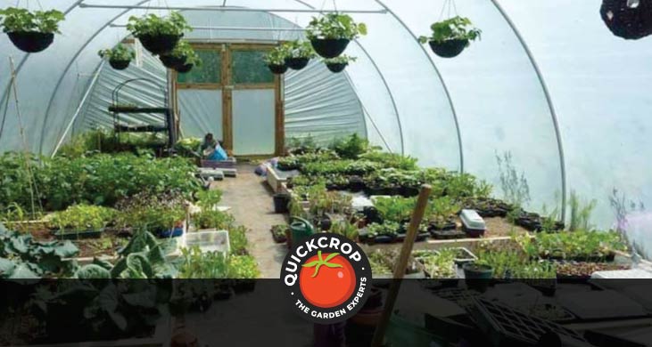 Polytunnel header image with Quickcrop logo