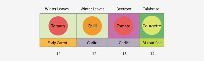 12 month polytunnle sowing plan