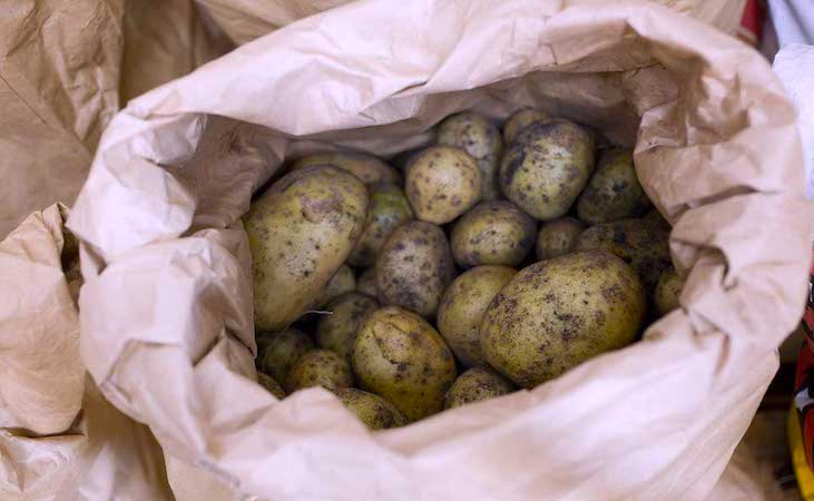 Potatoes stored in a paper sack