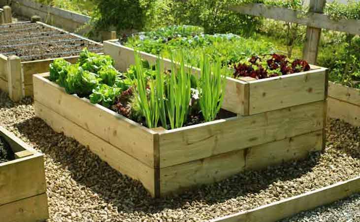 Premier split level rimber raised vegetable bed