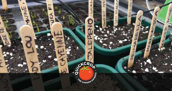 Header image with Quickcrop logo