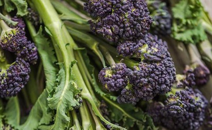 Purple sprouting broccoli