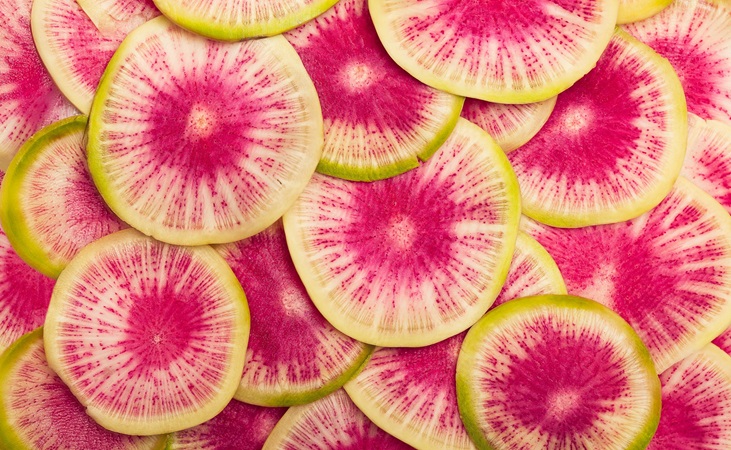 Watermelon radish slices