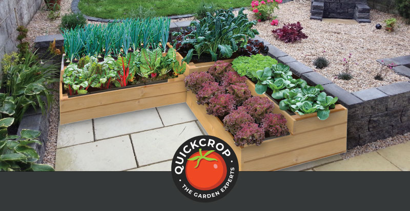 raised beds header