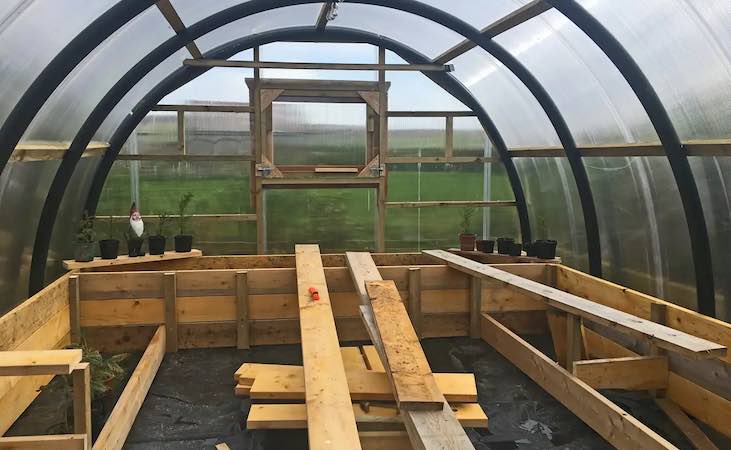 Timber raised beds in polytunnel