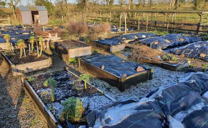 raised beds with weed control fabric