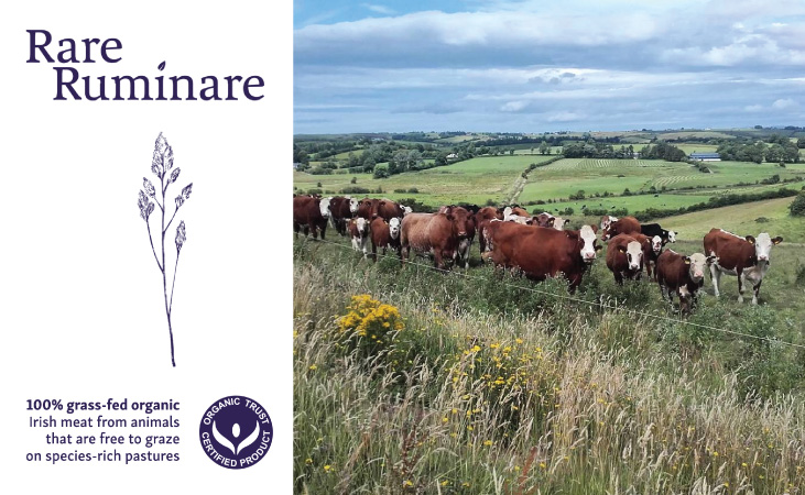 Rare Ruminare, based in Sligo