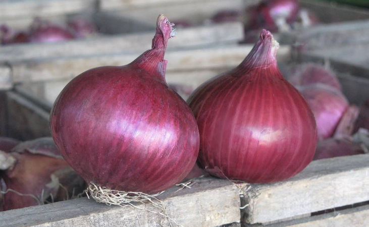 Red onions