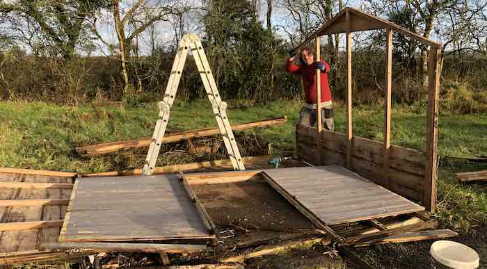 remove shed vegetable garden