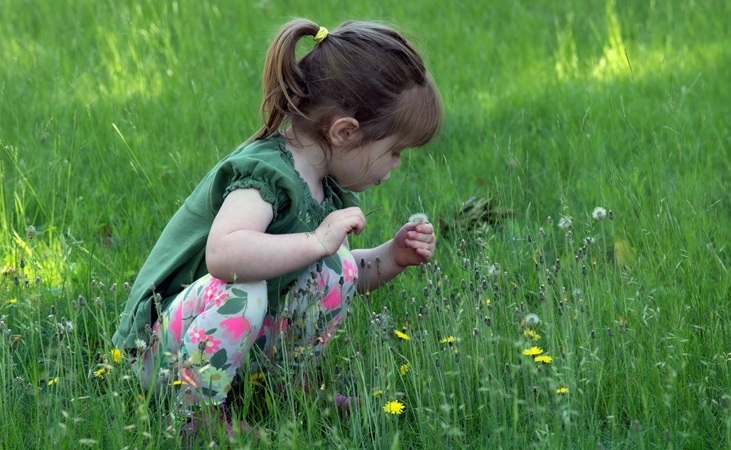 a child studying a flower curiously a child studying a flower curiously