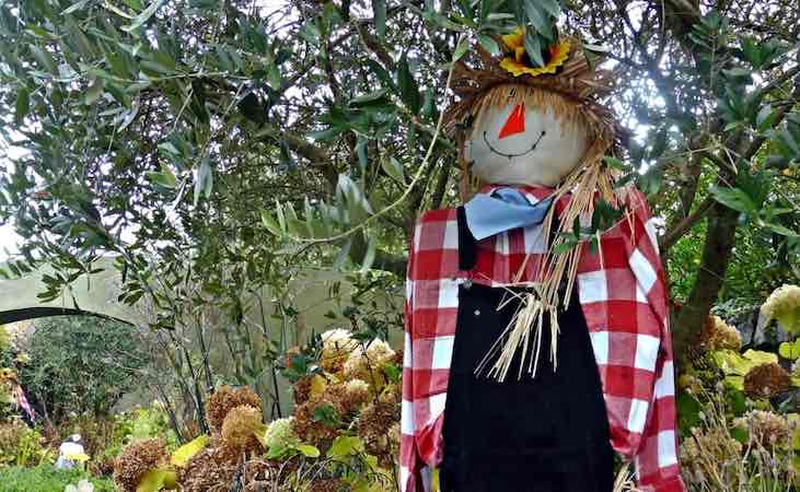 School scarecrow
