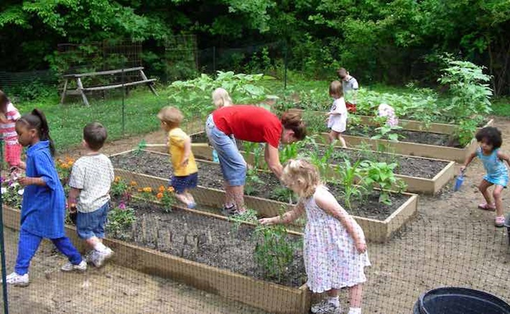 raised beds in a school vegetable garden