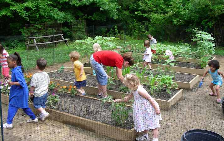 Kids playing with raised beds in a school vegetable garden