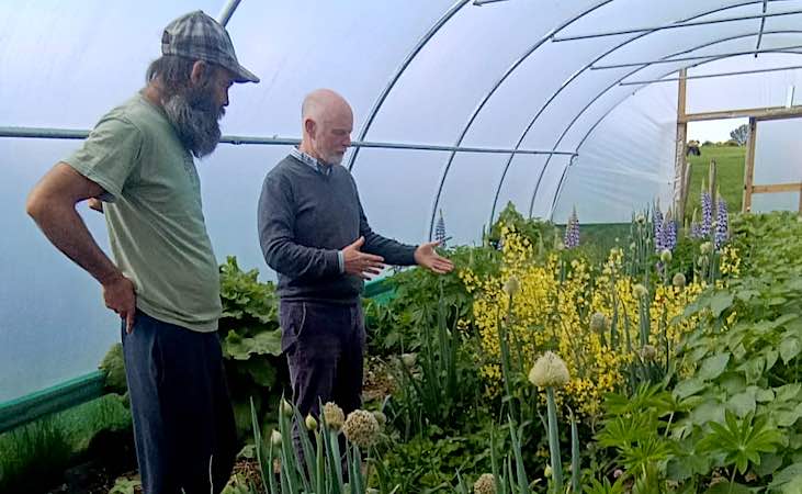 inside Scott Huey's polytunnel