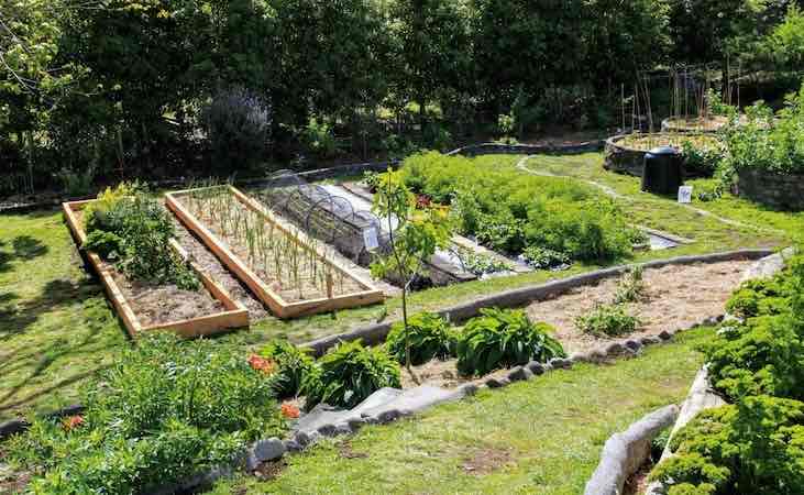 Self sufficient home vegetable garden