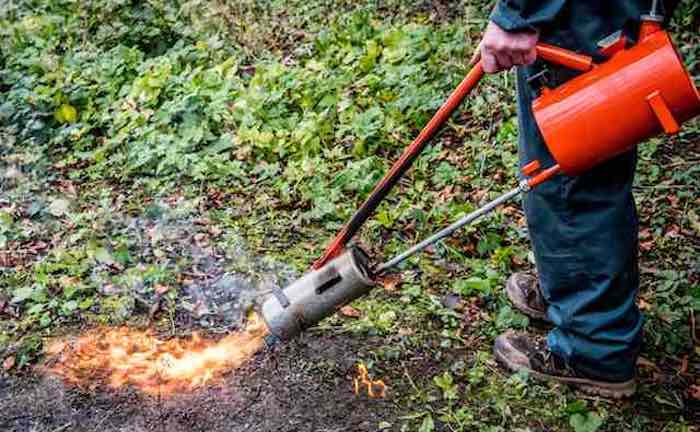 Sheen flame weeder weed control