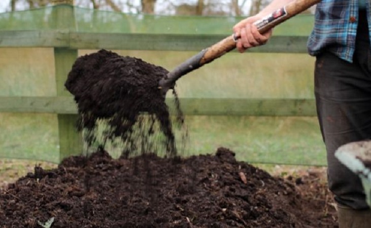 nutrient rich compost