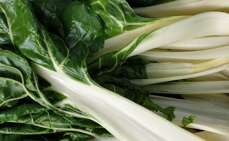 Silverbeet chard Silverbeet chard