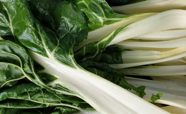 silverbeet chard silverbeet chard