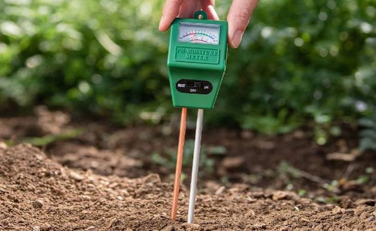 Test your soil before building a polytunnel