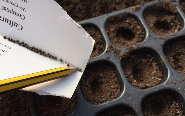 Seed Sowing Tips