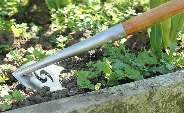 weeding a vegetable bed with the Haxnicks speed hoe