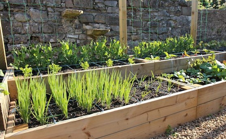 Square foot garden bed