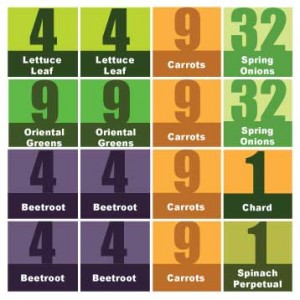 4x4 square foot plan