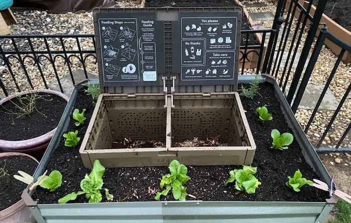 Subpod wormery in raised bed