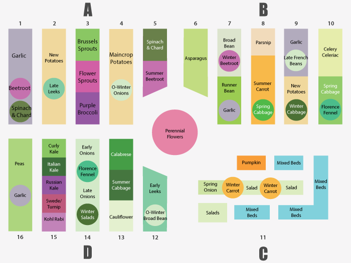 Succession planting plan