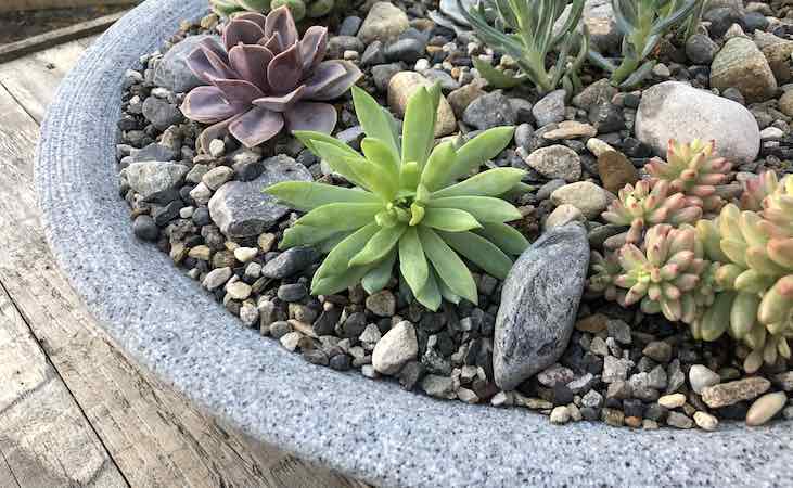 granite effect succulent display bowl