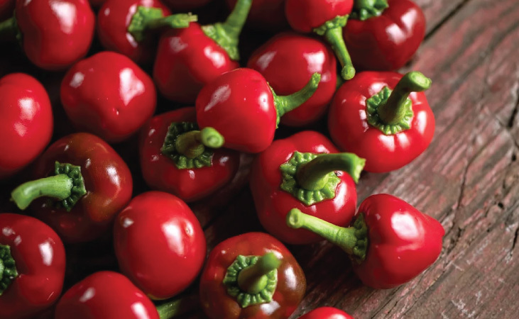 Dinero f1 sweet peppers